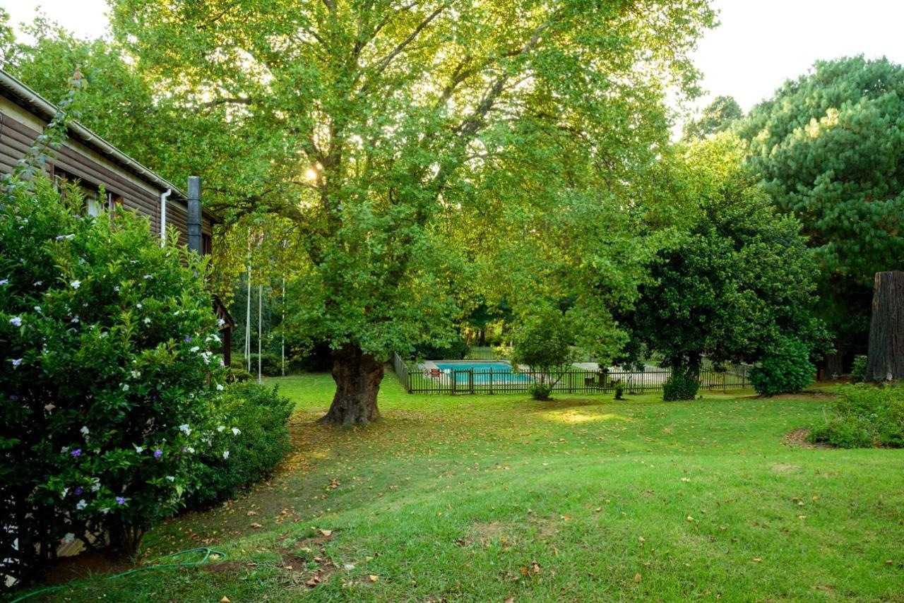 Kings Lodge Hotel Hogsback Exterior photo